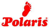 polaris_logo
