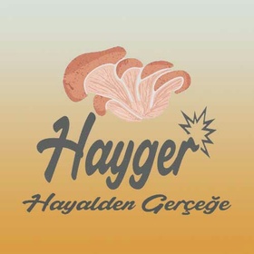 haygermantar_1478953128_280