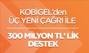 kosgeb635995986698518650