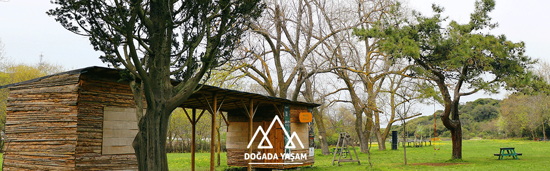 Doğada-Yaşam-Eğitim